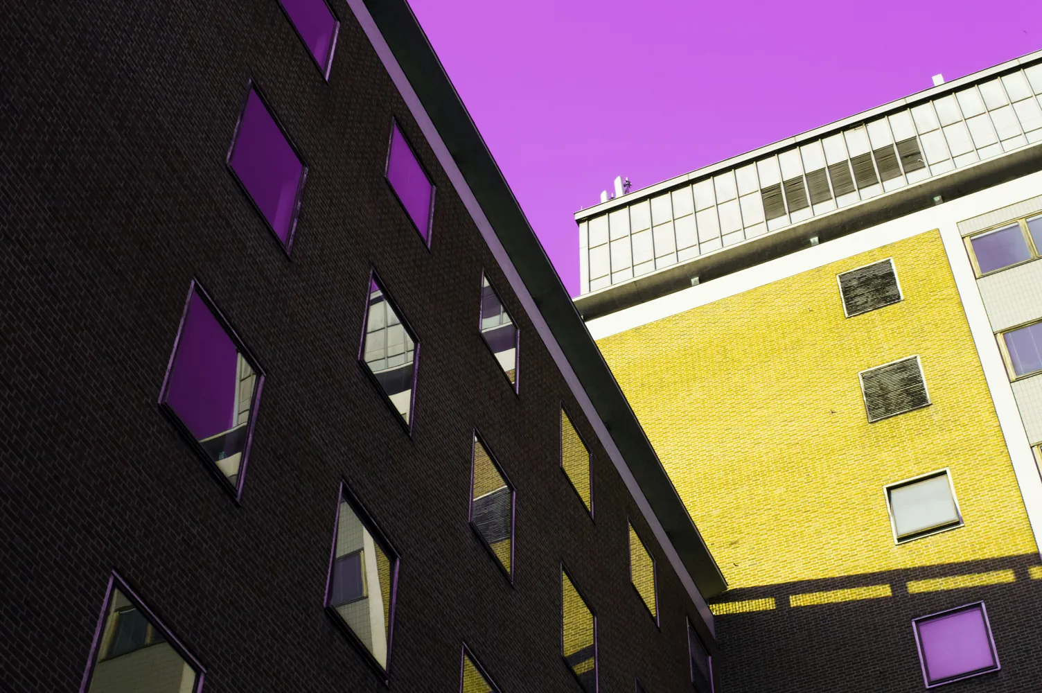 Exploring Color Blindness Settings in Modern Gaming Experiences