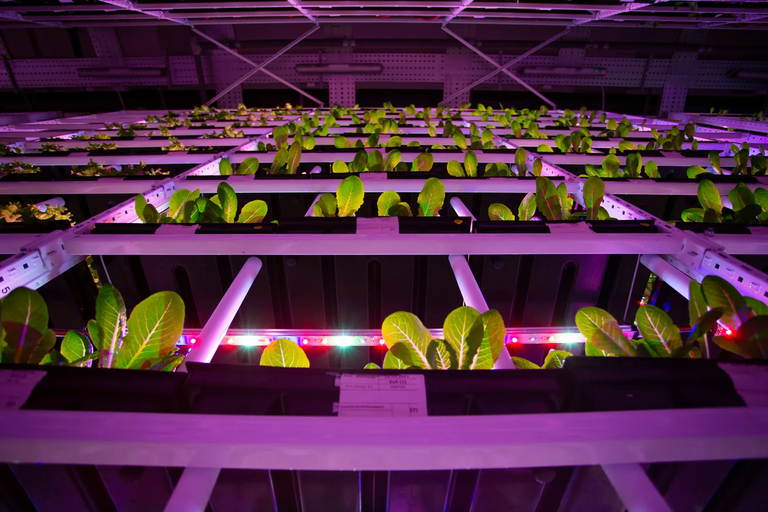 Implementing innovative agricultural practices aboard the ISS